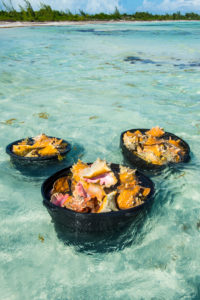 Close up of freshly harvested conches (Lobatur gigas), Five Cay beach, Providenciales, Turks and Caicos Close up of freshly harvested conches (Lobatur gigas), Five Cay beach, Providenciales, Turks and Caicos